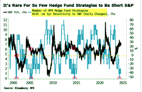 hedge funds are not short S&P